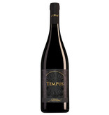 Stefano Accordini Veneto Tempus 2024