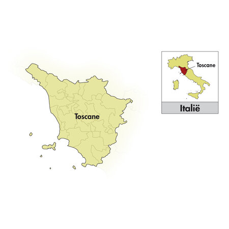 Il Palagio IGP Toscana Rosso Flaschenpost 2022