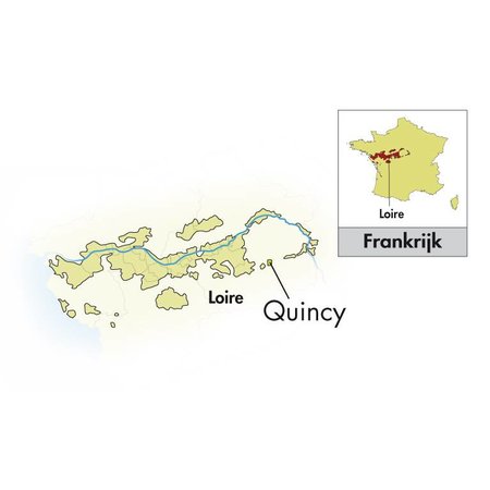 Domaine du Tremblay Quincy 2023