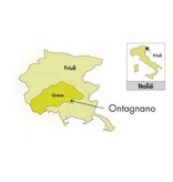 Di lenardo Di Lenardo Vineyards Friuli Toh! Friaulisch 2024