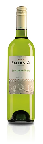 Viña Falernia Elqui Valley Sauvignon Blanc 2017