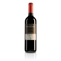 Falernia Elqui Valley Carmenère Reserva