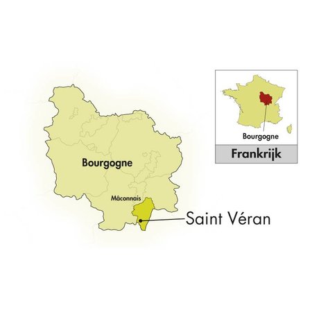 Domaine Jacques Saumaize Saint-Véran Les Chataigniers 02024