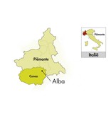 Conterno Fantino Barbera d'Alba Vignota 2024