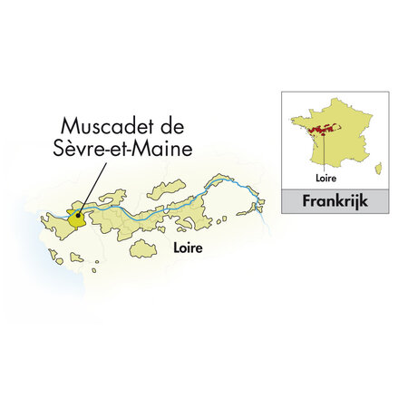 Domaine de la Pépière Muscadet Sèvre et Maine Sur Lie 2022