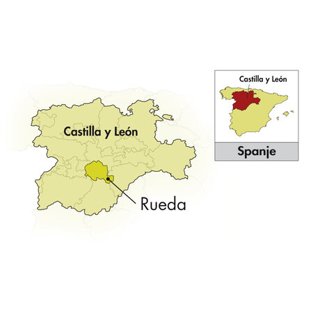 Cuatro Rayas Pampano Verdejo 2025