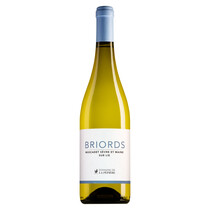 Domaine de la Pépière Muscadet Sèvre und Maine Sur Lie Briords