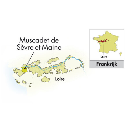 Domaine de la Pépière Muscadet Sèvre et Maine Sur Lie Briords 2023