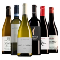 Weinpaket das Beste von 2024 (6 Flaschen)