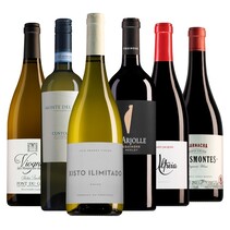 Wine package the best of 2024 (6 bottles)