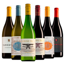 Südafrikanisches Weinpaket (6 Flaschen)