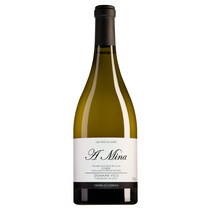 Domaine Vico Corse Les Parcellaires A Mina Blanc
