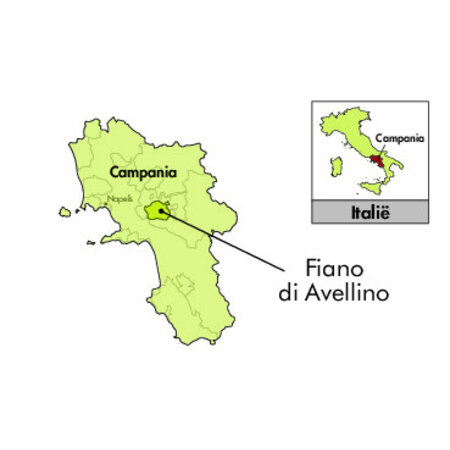 Di Meo Fiano di Avellino 2023