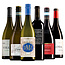 Weinpaket "Exklusiv"