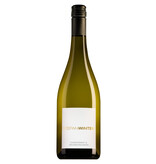 Stefan Winter Rheinhessen Weissburgunder-Chardonnay 2024