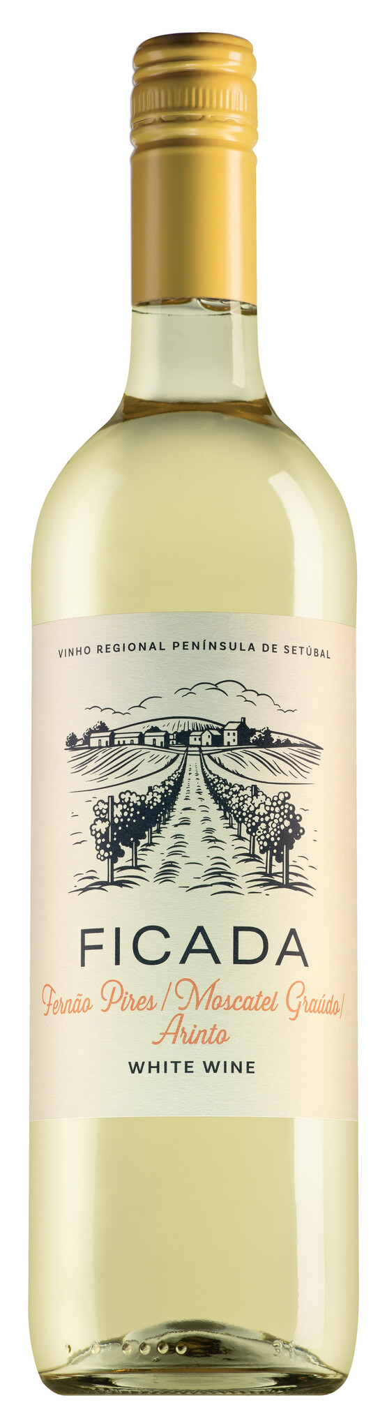 Ficada Península de Setúbal wit 2024