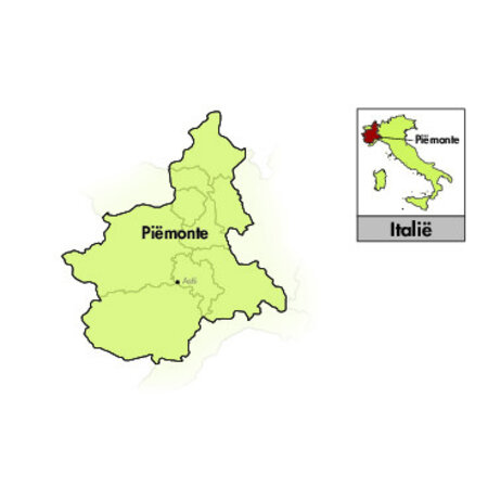 Bricco Lagotto Piemonte Barbera Passito Appassimento 2023