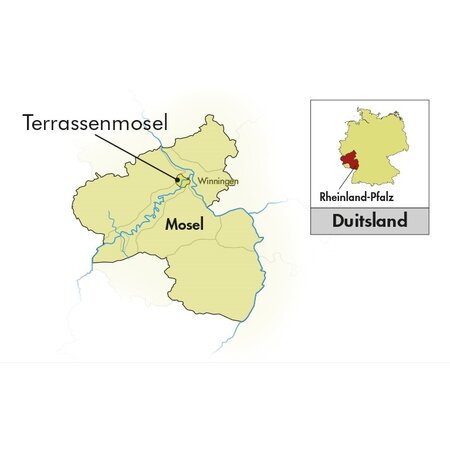 C. Kloss Sparkling Tea Naturtalente Grüner Tee alkoholfrei