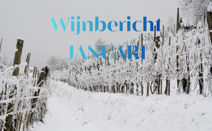 Wijnbericht Januari