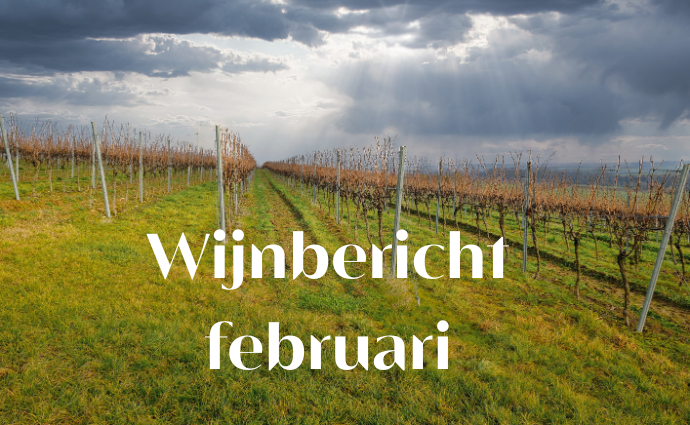 Wijnbericht februari