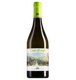 Masseria Frattasi Beneventano  Coda di Volpe 2024