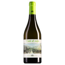 Masseria Frattasi Beneventano Coda di Volpe