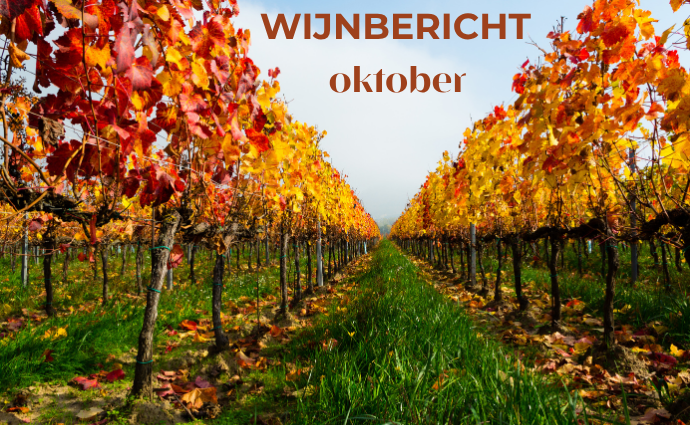 Wijnbericht aug