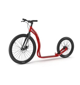Yedoo Trexx disc red