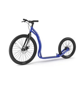 Yedoo Trexx disc blue