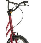 MIBO ROYAL 20/20 RASPBERRY