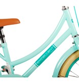 Volare Excellent Kinderfahrrad - Mädchen - 18 Zoll - Grün - 95% montiert