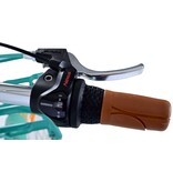 Volare Excellent Kinderfahrrad - Mädchen - 24 Zoll - Grün - 3 Gänge