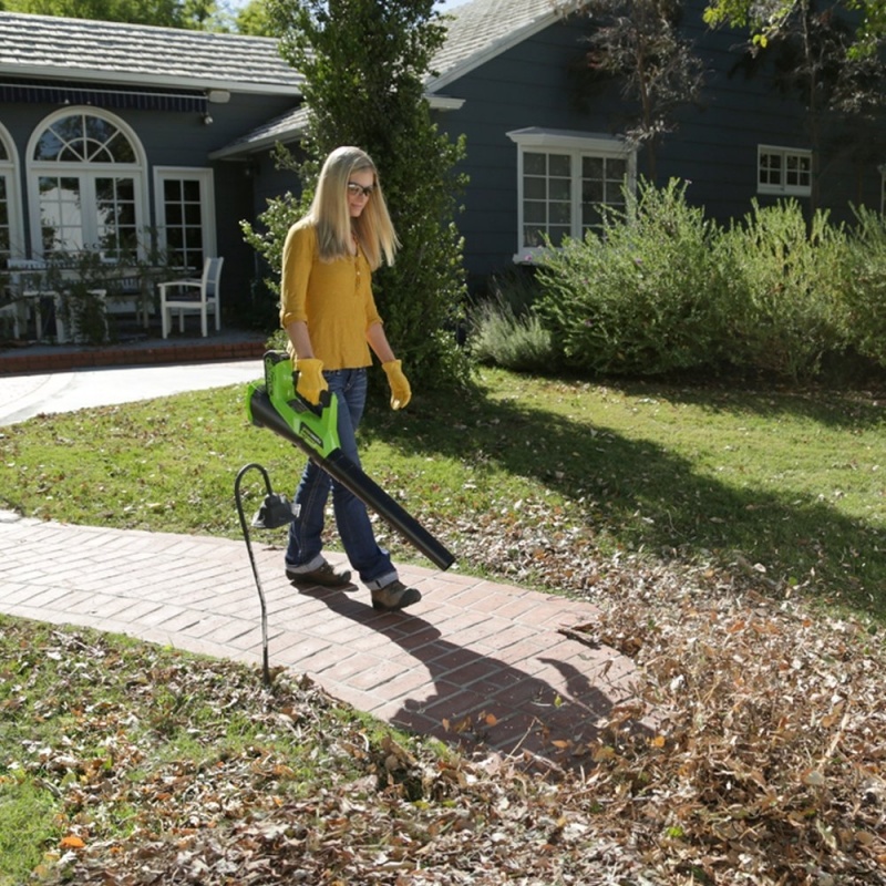 Greenworks 40 Volt Accu Bladblazer G40ABK4