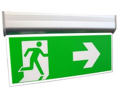RELED RELED EMERGENCY LIGHTING WALL / CEILING 3 ICONS