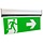 RELED EMERGENCY LIGHTING WALL / CEILING 3 ICONS