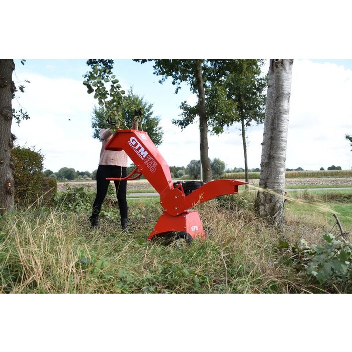 GTM Professional GTS600G Holzhäcksler Schredder