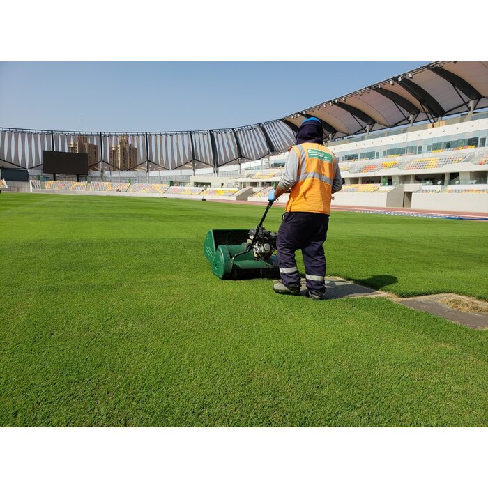 Masport MASPORT 660HXR Reel Mower GX160 Honda