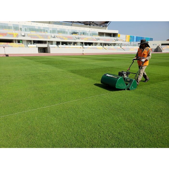 Masport 500HXR Spindelmäher HONDA GX160