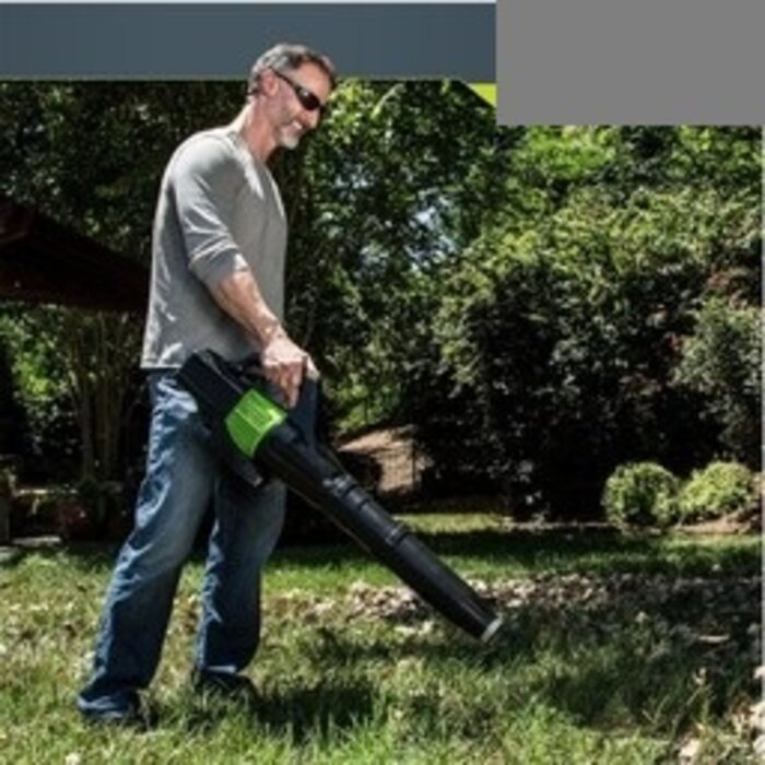 Greenworks 60 Volt cordless blower GD60ABK2