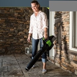 Greenworks 60 Volt cordless blower GD60ABK4