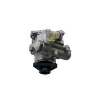 STUURBEKRACHTIGING POMP 300 TDI MOTOR