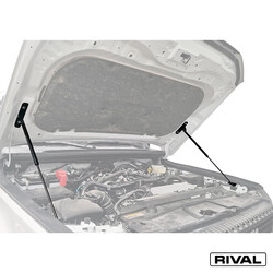 GAS STRUTS TOYOTA LAND CRUISER PRADO 2024