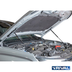 GAS STRUTS FORD EVEREST 2022-; RANGER RAPTOR 2022-; RANGER 2022-; VOLKSWAGEN AMAROK 2023