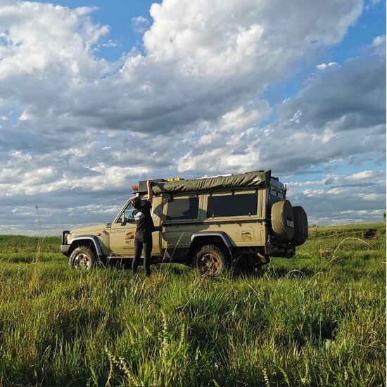 Big Country Big Country Ostrich Wing