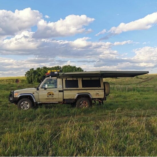 Big Country Big Country Ostrich Wing