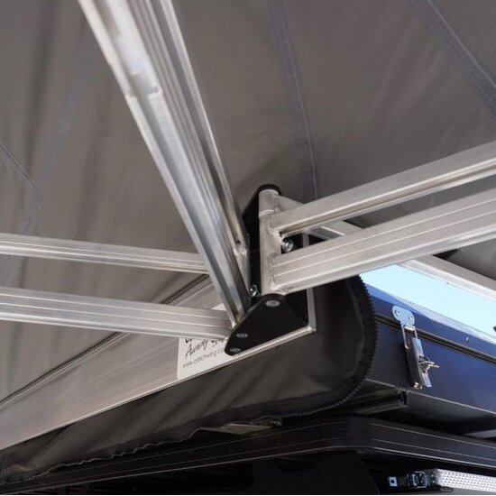 Big Country Big Country Ostrich Wing