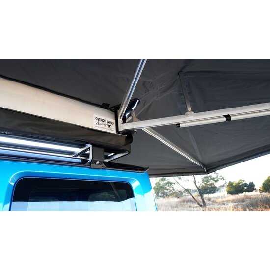 Big Country Big Country Ostrich Wing Luifel Junior