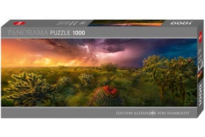 Puzzel (1000stuks) - Stormy Horizon Panorama