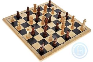 Chess/Schaken (hout)