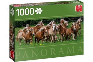 Jumbo Puzzel (1000stuks) - Premium Collection Panorama - Haflinger Horses